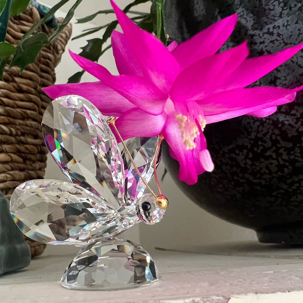 Swarovski crystal butterfly 🦋🩵
